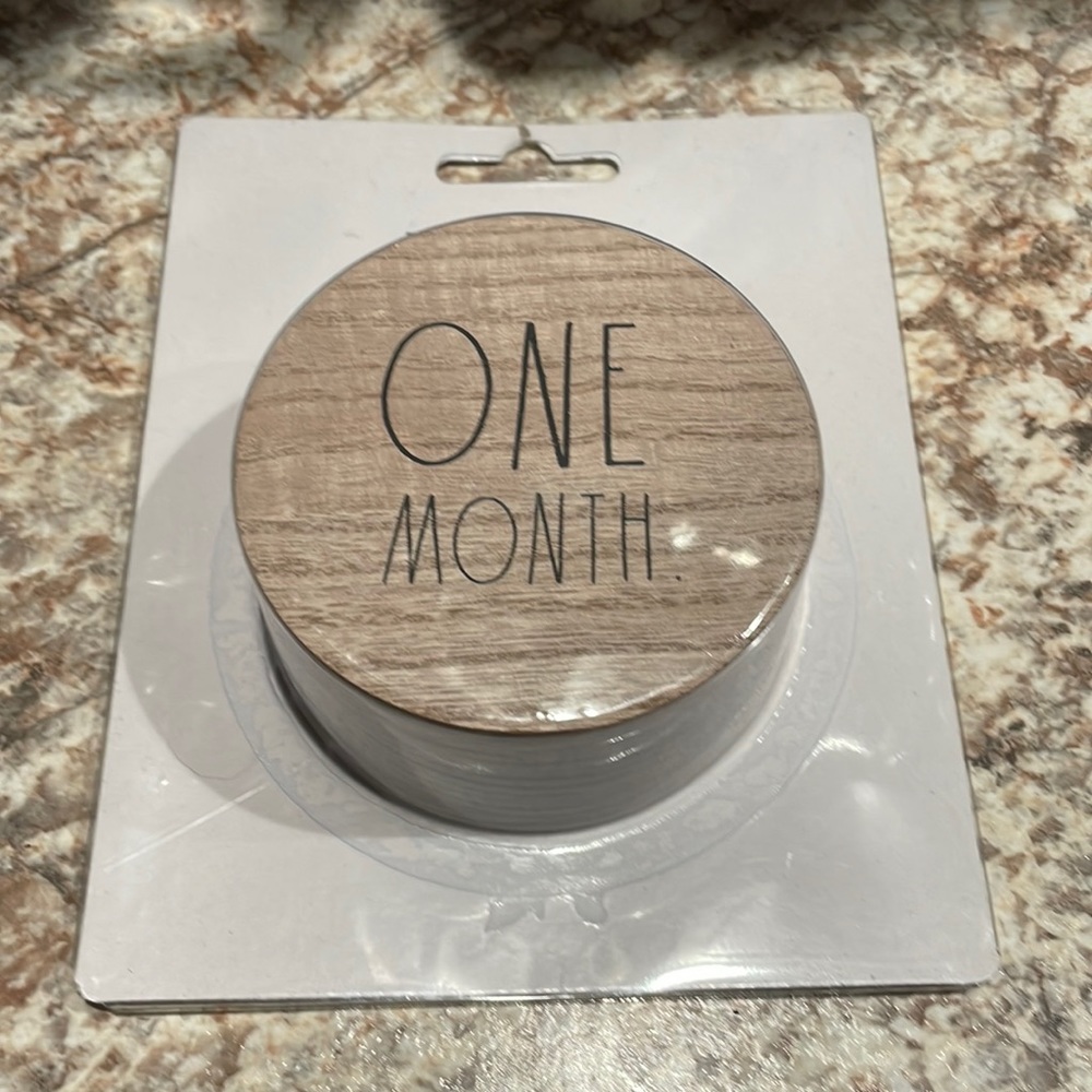 Set of Rae Dunn Baby 13 piece wooden First Year milestone discs